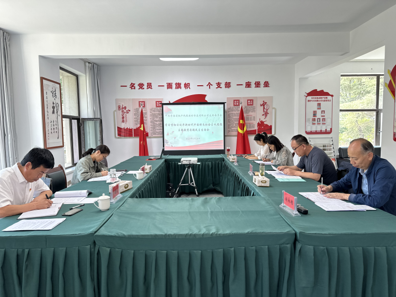 刀刃向內(nèi)深入剖析 貫通融合落實(shí)整改&mdash;&mdash;民爆公司黨支部召開(kāi)主題教育專(zhuān)題民主生活會(huì)