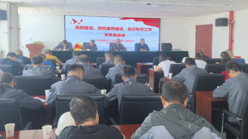 工投公司黨委召開黨的建設(shè)、黨風(fēng)廉政建設(shè)、意識形態(tài)工作半年推進會